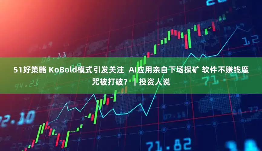 51好策略 KoBold模式引发关注  AI应用亲自下场探矿 软件不赚钱魔咒被打破？｜投资人说