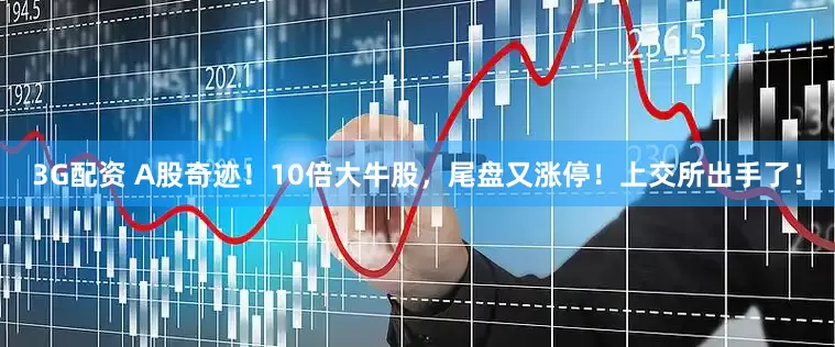 3G配资 A股奇迹！10倍大牛股，尾盘又涨停！上交所出手了！